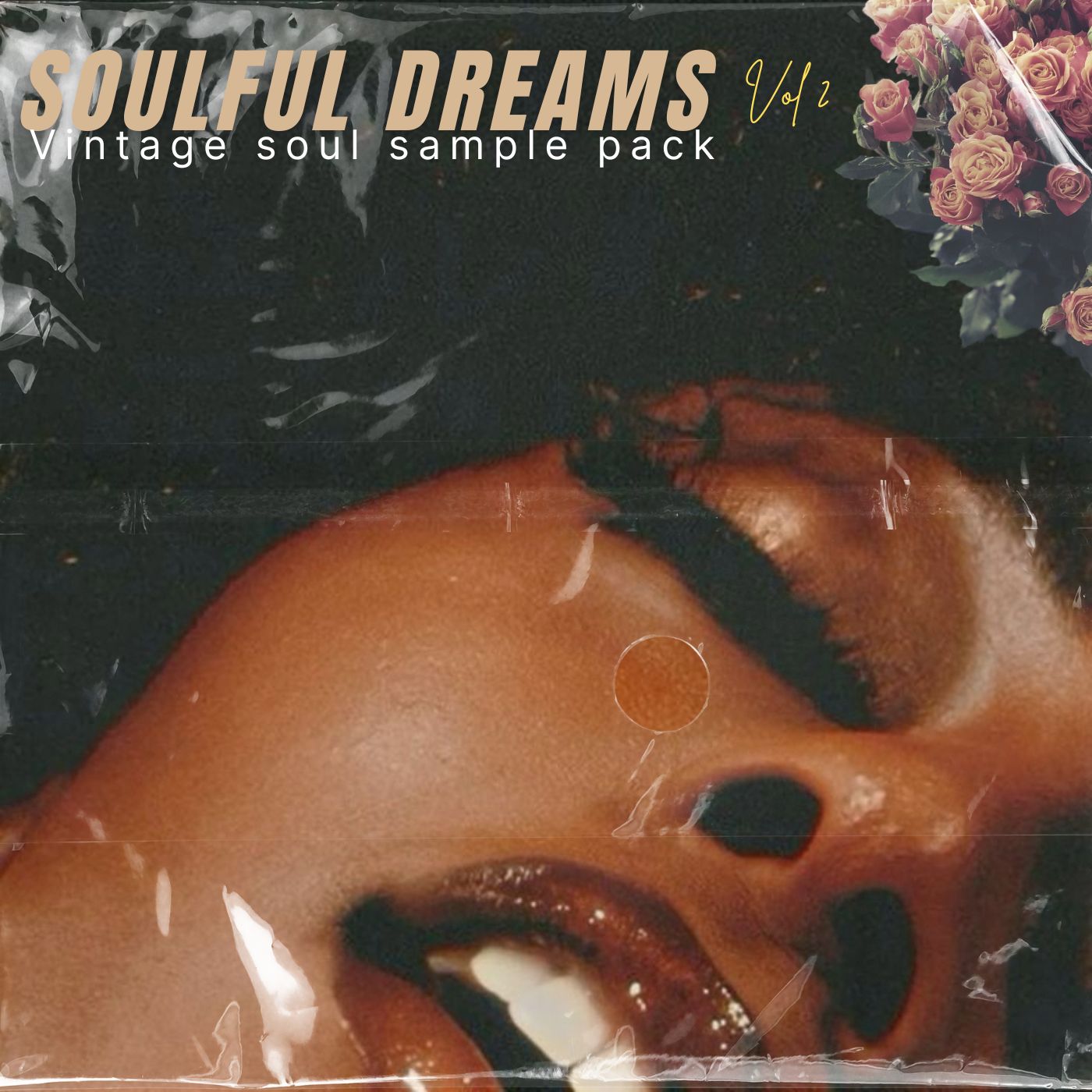 Soulful Dreams Vol 2 (Vintage Soul Sample Pack)