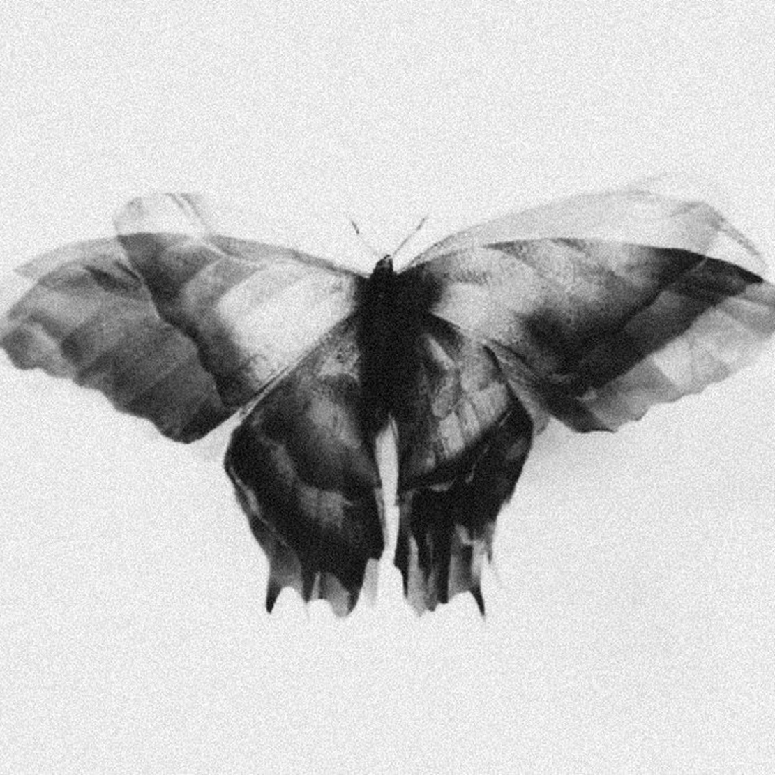 Gloomy Vibes Vol.8