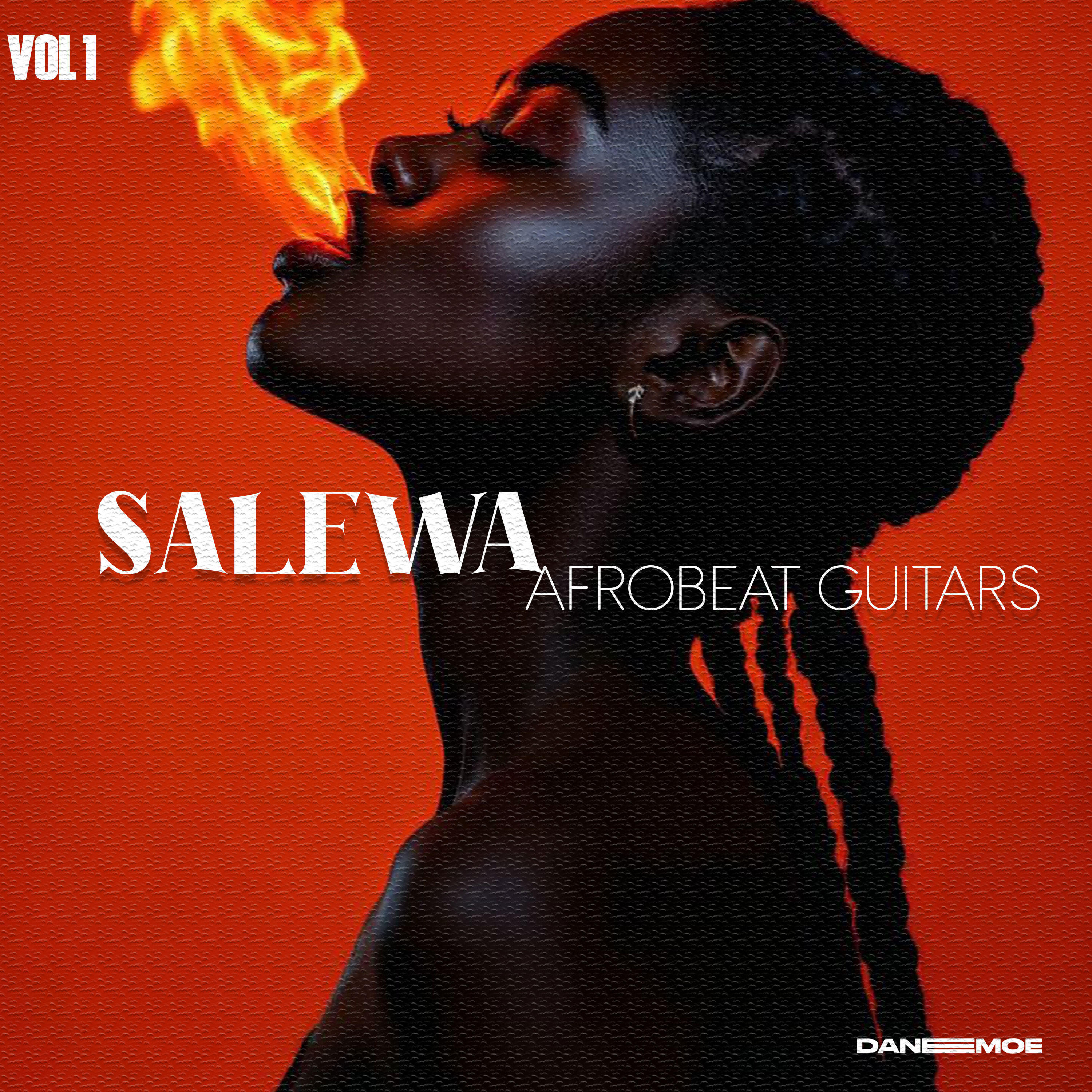 SALEWA Afrobeat Guitars 1