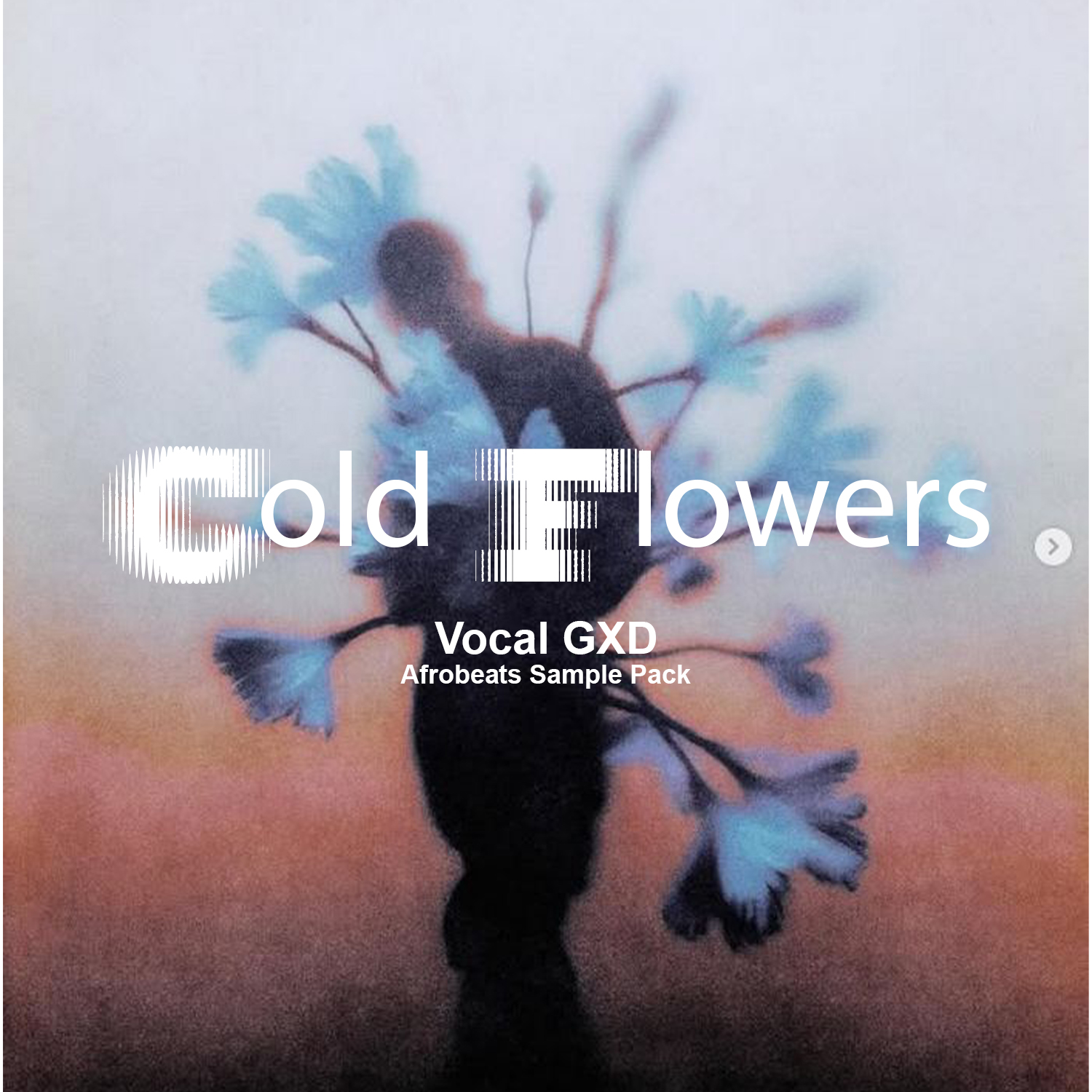 Cold Flowers: Afrobeats Sample Pack