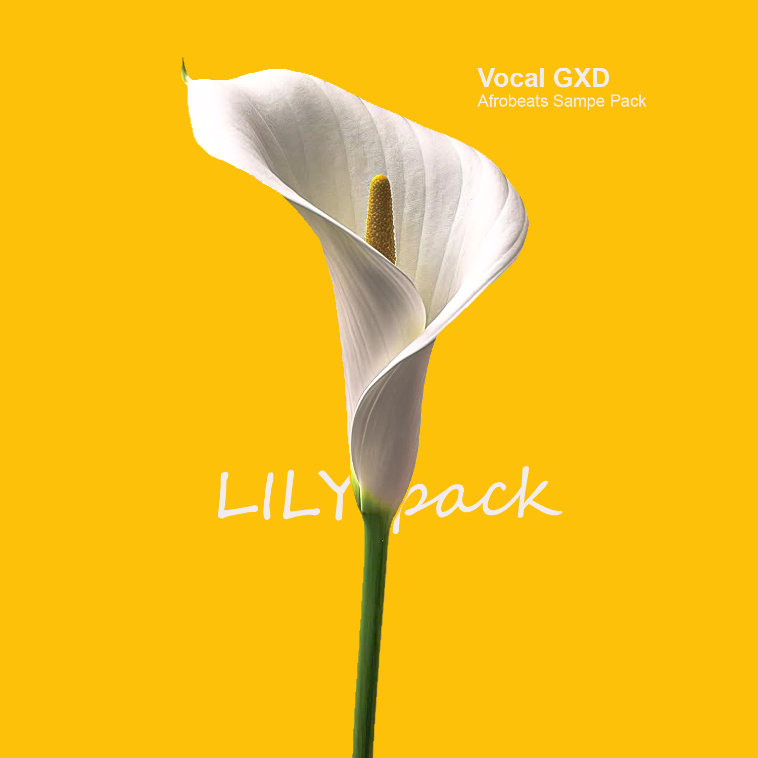 Lily: Afrobeats Sample Pack