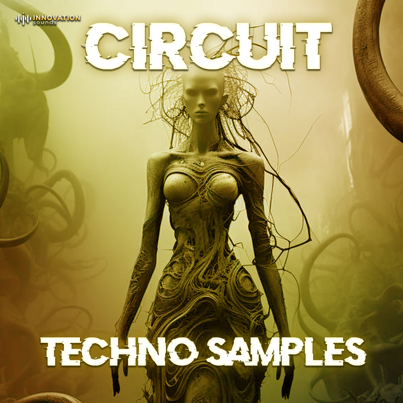 Circuit