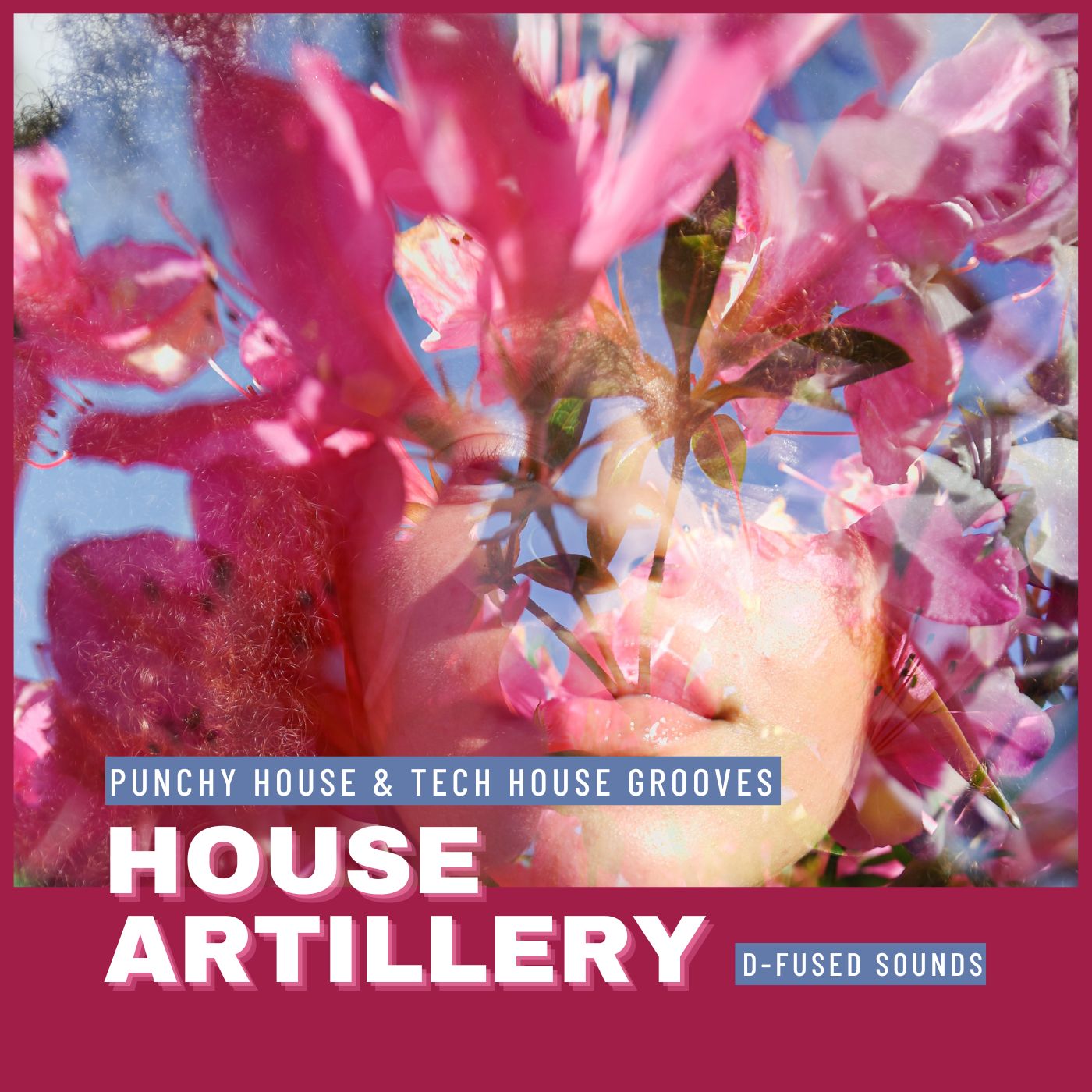 House Artillery