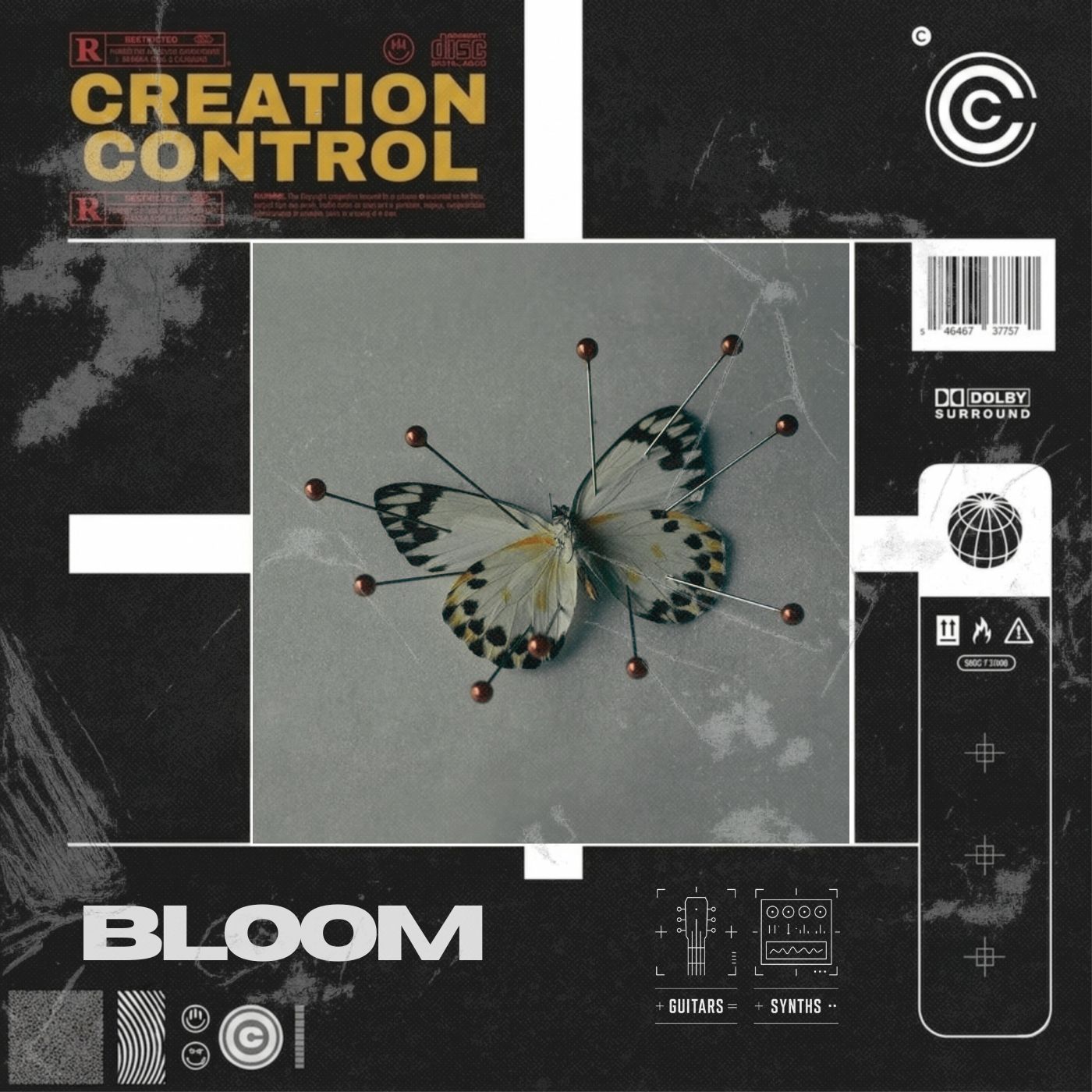 Bloom