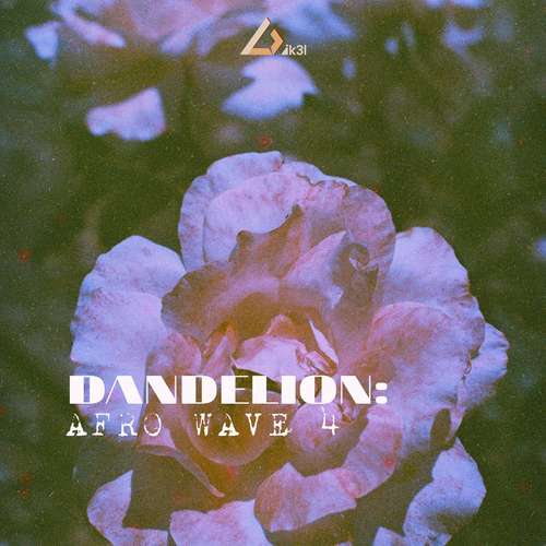 Sample Pack: Dandelion: Afro Wave IV