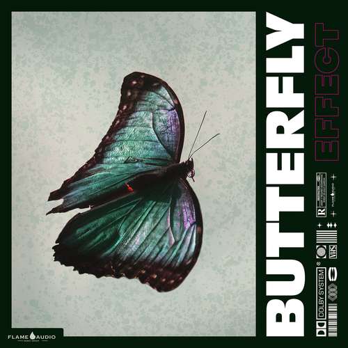 Sample Pack: BUTTERFLY EFFECT: Trap and Drill Samples