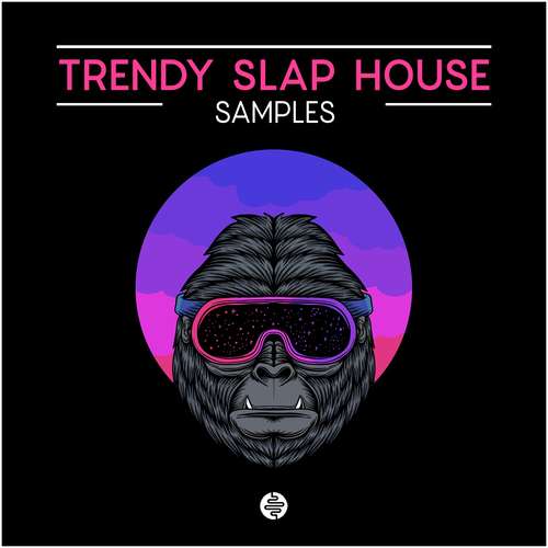 Sample Pack: Trendy Slap House