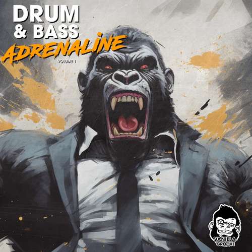 Sample Pack: Drum and Bass Adrenaline 1