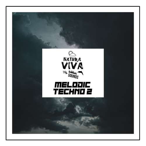 Sample Pack: Natura Viva Sounds - Melodic Techno 2