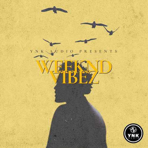 Sample Pack: Weeknd Vibez: The Weeknd Type Loops
