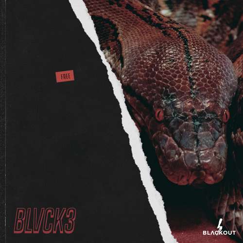 Sample Pack: Blvck 3 - Free Trap Loops