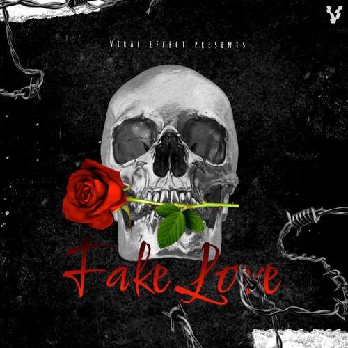 Sample Pack: Fake Luv