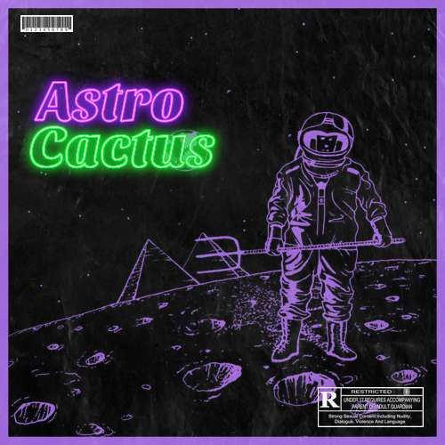 Sample Pack: Astro Cactus
