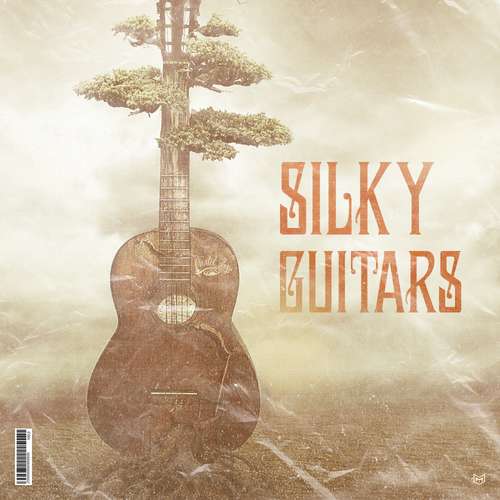 Sample Pack: Silky Guitars