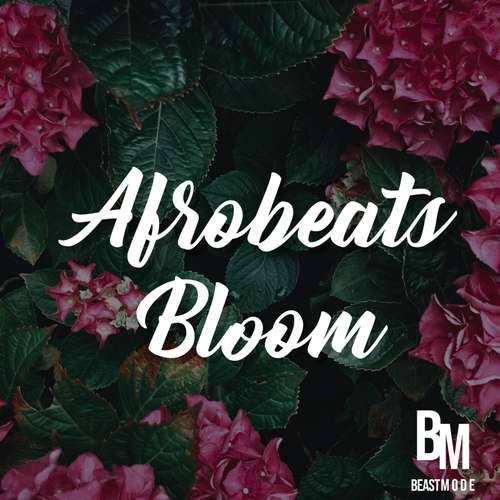 Sample Pack: Afrobeats Bloom