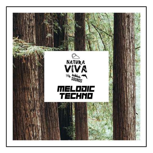 Sample Pack: Natura Viva Sounds - Melodic Techno