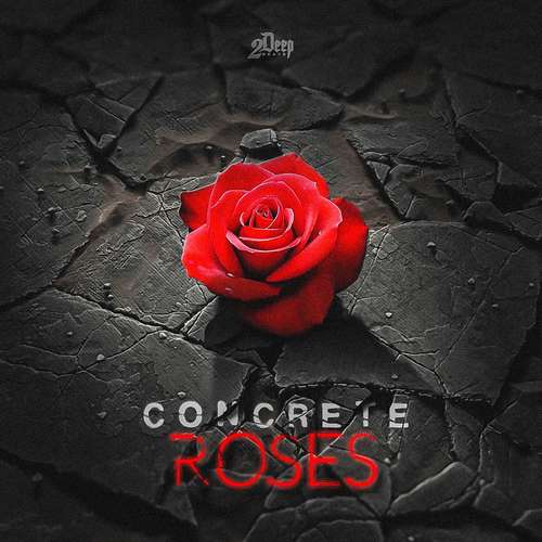 Sample Pack: Concrete Roses