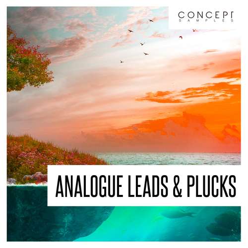 Sample Pack: Analogue Leads & Plucks