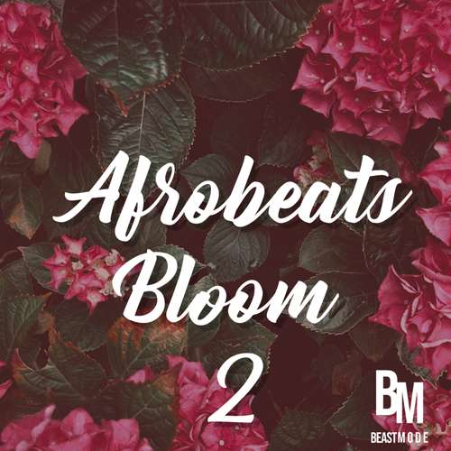 Sample Pack: Afrobeats Bloom 2