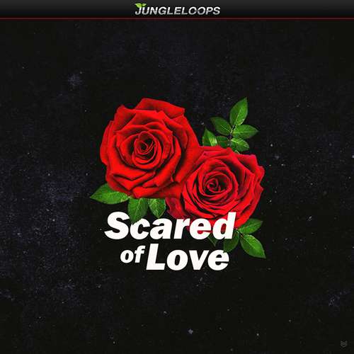 Sample Pack: Scared Of Love