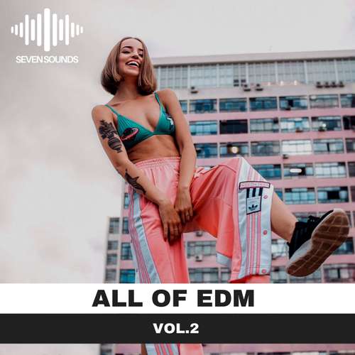 Sample Pack: All of EDM Vol.2