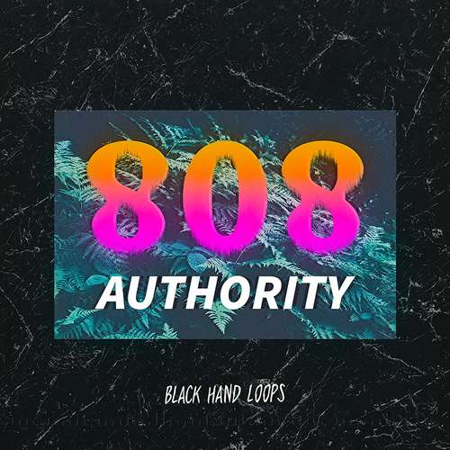 Sample Pack: 808 Authority