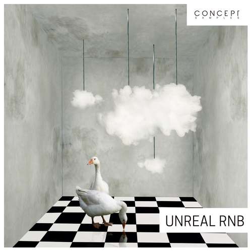 Sample Pack: Unreal RnB
