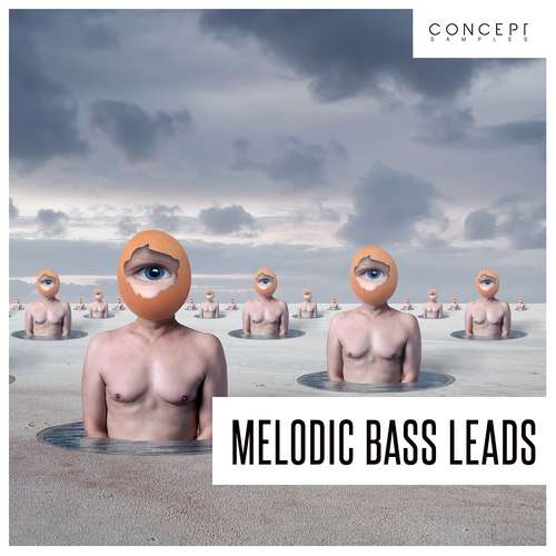 Sample Pack: Melodic Bass Leads