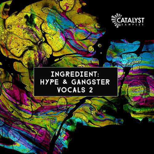 Sample Pack: Hype & Gangster Vocals Vol 2