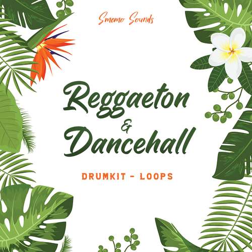 Sample Pack: REGGAETON & DANCEHALL (Drumkit & Loops)