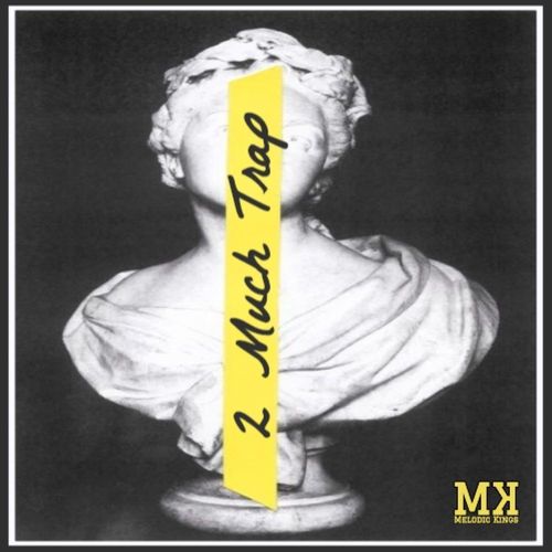 Sample Pack: 2 Much Trap