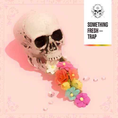 Sample Pack: Something Fresh - Trap