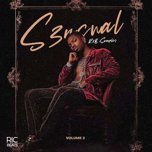 Sample Pack: Sensual Vol 2 - RnB & Trap Soul