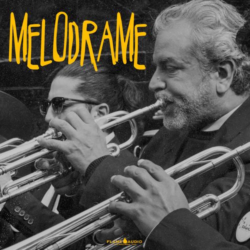 Sample Pack: MELODRAME: Orchestral Samples