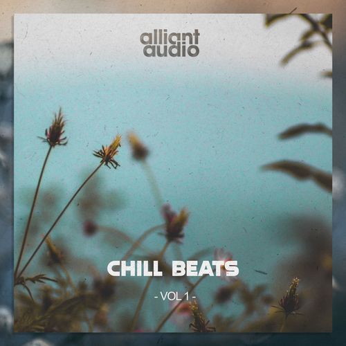 Sample Pack: Chill Beats Vol.1