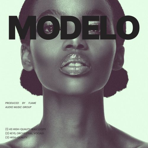 Sample Pack: MODELO: Modern Reggaeton Compositions