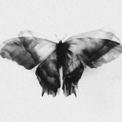 Sample Pack: Gloomy Vibes Vol.8