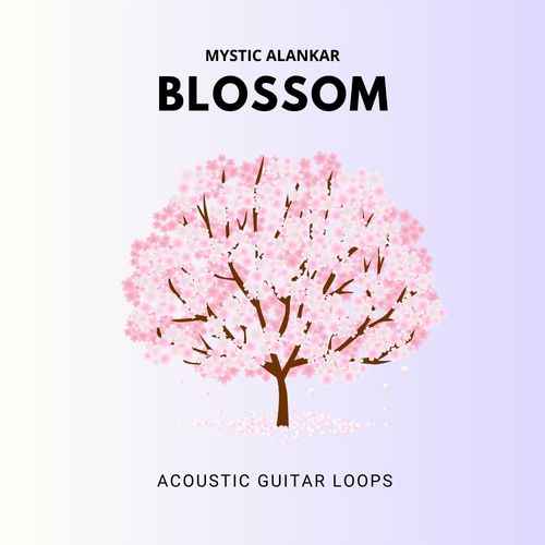 Sample Pack: Blossom - Acoustic Guitar Loops