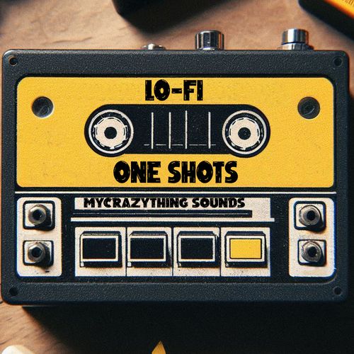 Sample Pack: Lo Fi One-Shots