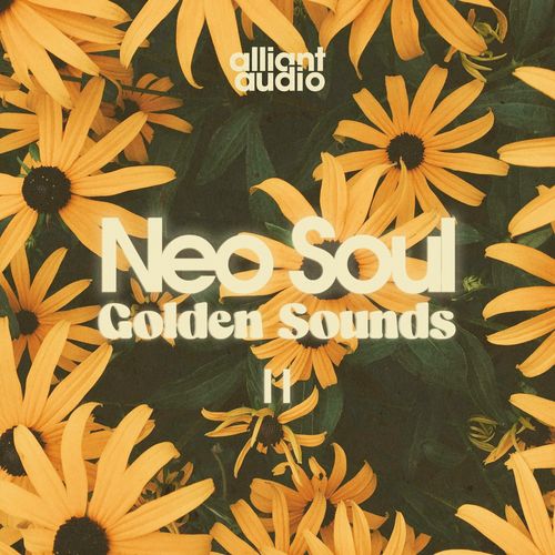 Sample Pack: Neo Soul Golden Sounds Vol.2