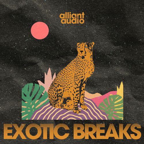 Sample Pack: Exotic Breaks