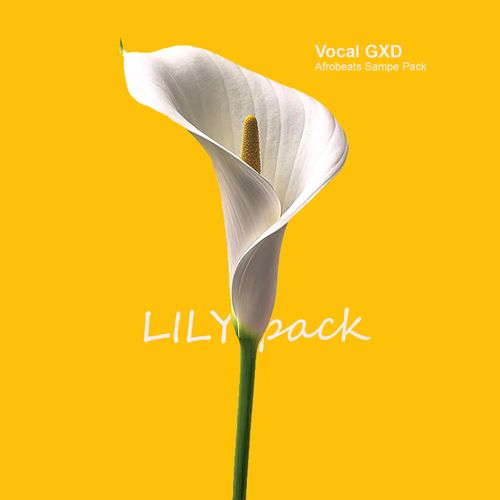 Sample Pack: Lily: Afrobeats Sample Pack