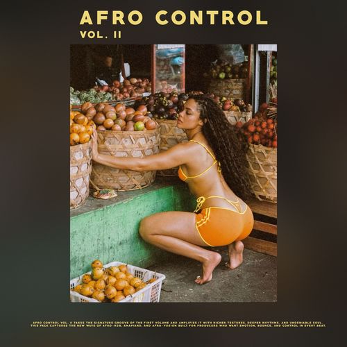 Sample Pack: Afro Control Vol. 2