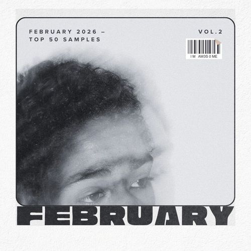 Sound Collection Trap