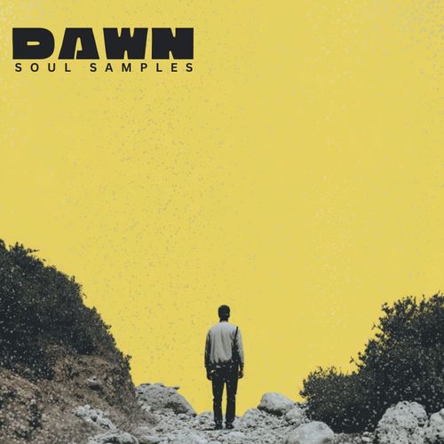 Sample Pack: Dawn - Soul Samples