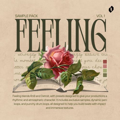 Sample Pack: FEELING - RNB AND DETROIT