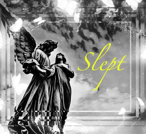 Sample Pack: Slept