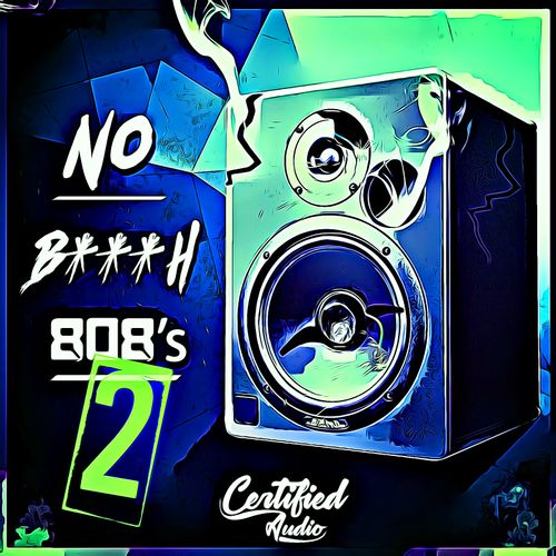 Sample Pack: No B***H 808's 2