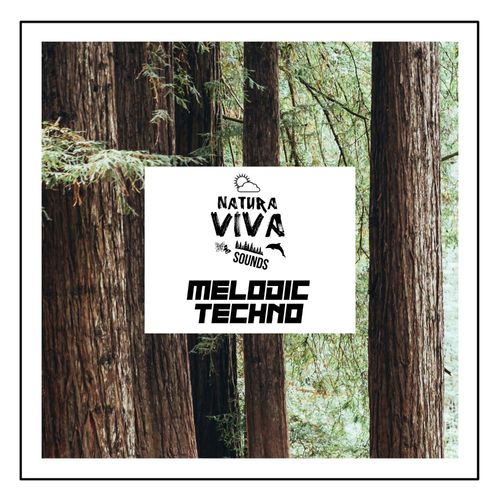 Sample Pack: Natura Viva Sounds - Melodic Techno
