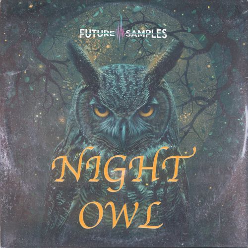 Sample Pack: NIGHT OWL - R&B Melodies